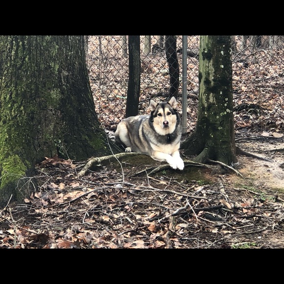 Meet your Posher, Michelle - Picture 6 of 6
